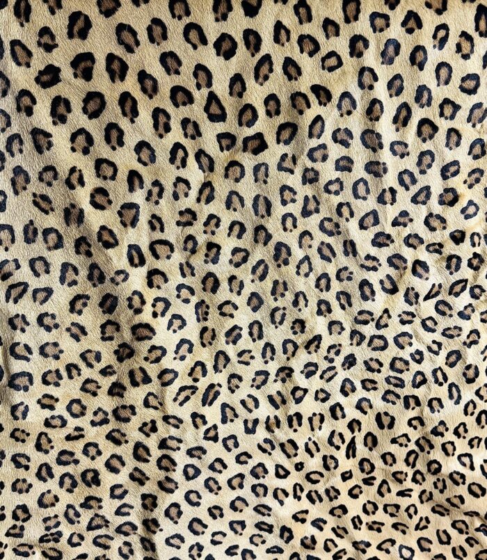 Leopard Prestige